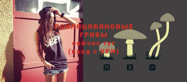 хмурый Балахна